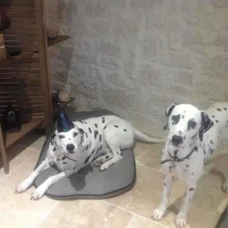 Bed & Breakfast Le Sang Des Vignes 4*