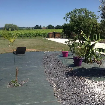 Le Sang Des Vignes