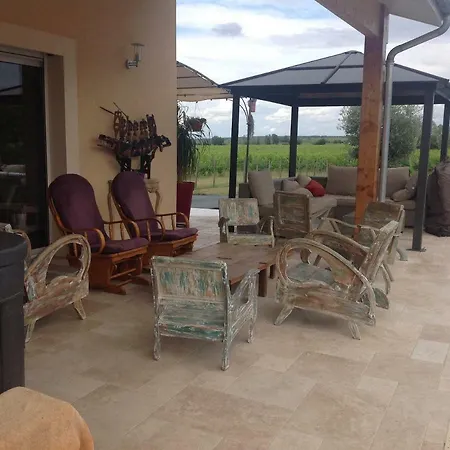 Le Sang Des Vignes 4* Monbazillac