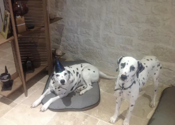 Bed & Breakfast Le Sang Des Vignes 4*